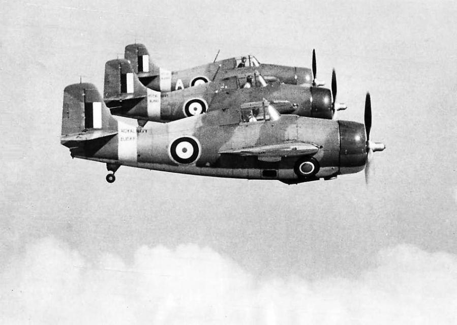 Grumman martlets mk i no 804 squadron fleet air arm 1940 scapa flow