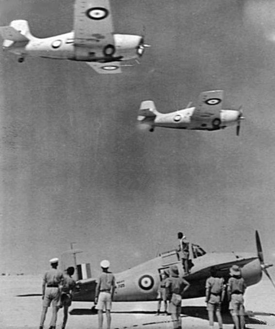 Martlet iiis 805 nas in north africa 1941 changer photo cf wikipedia